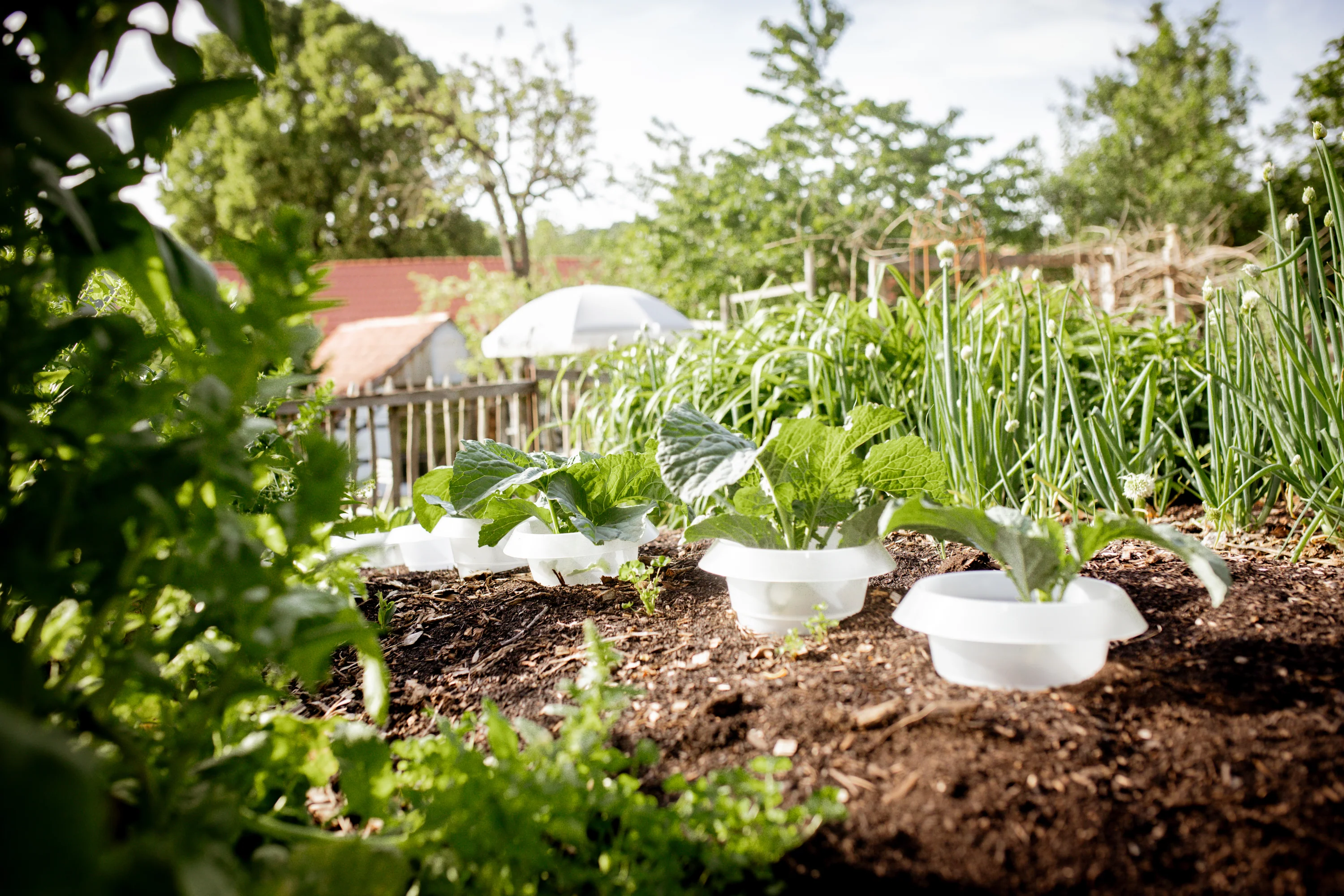 Dein Garten, dein grünes Paradies